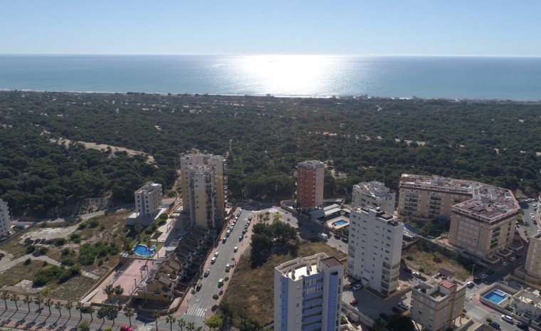 Nowa konstrukcja - Apartament - Guardamar del Segura